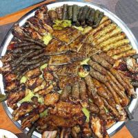 ميكس التست